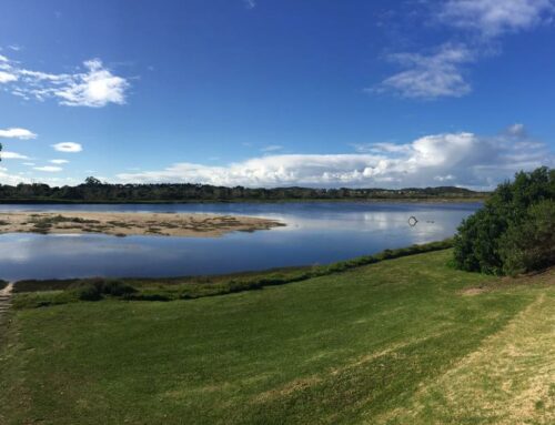 Recent spring photos at Twin Rivers Villa